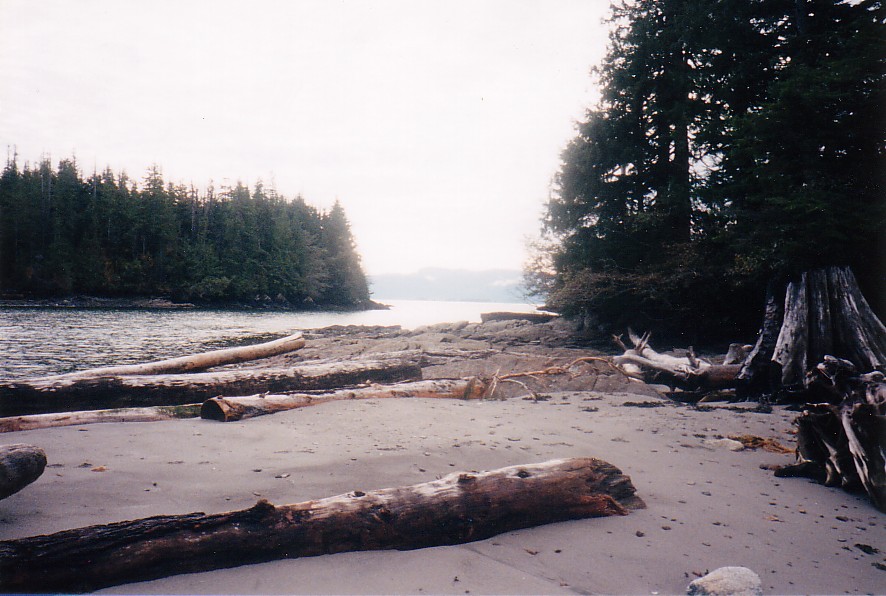 A Beach Near Prince Rupert