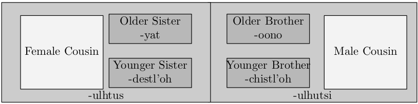 Chart of Dual Sibling Terminology