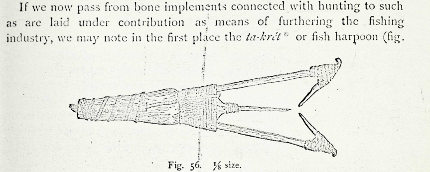Morice on the fish harpoon